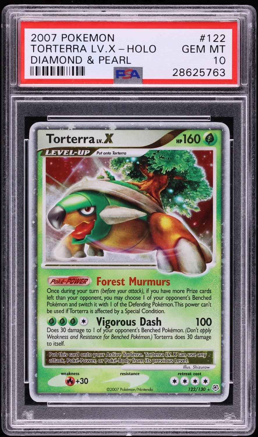 Torterra Lv X