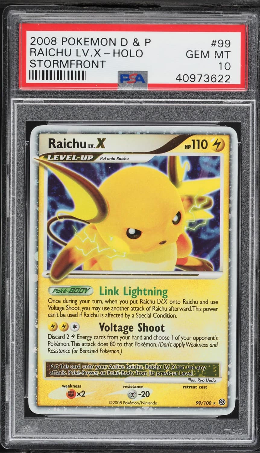 Raichu Lv X