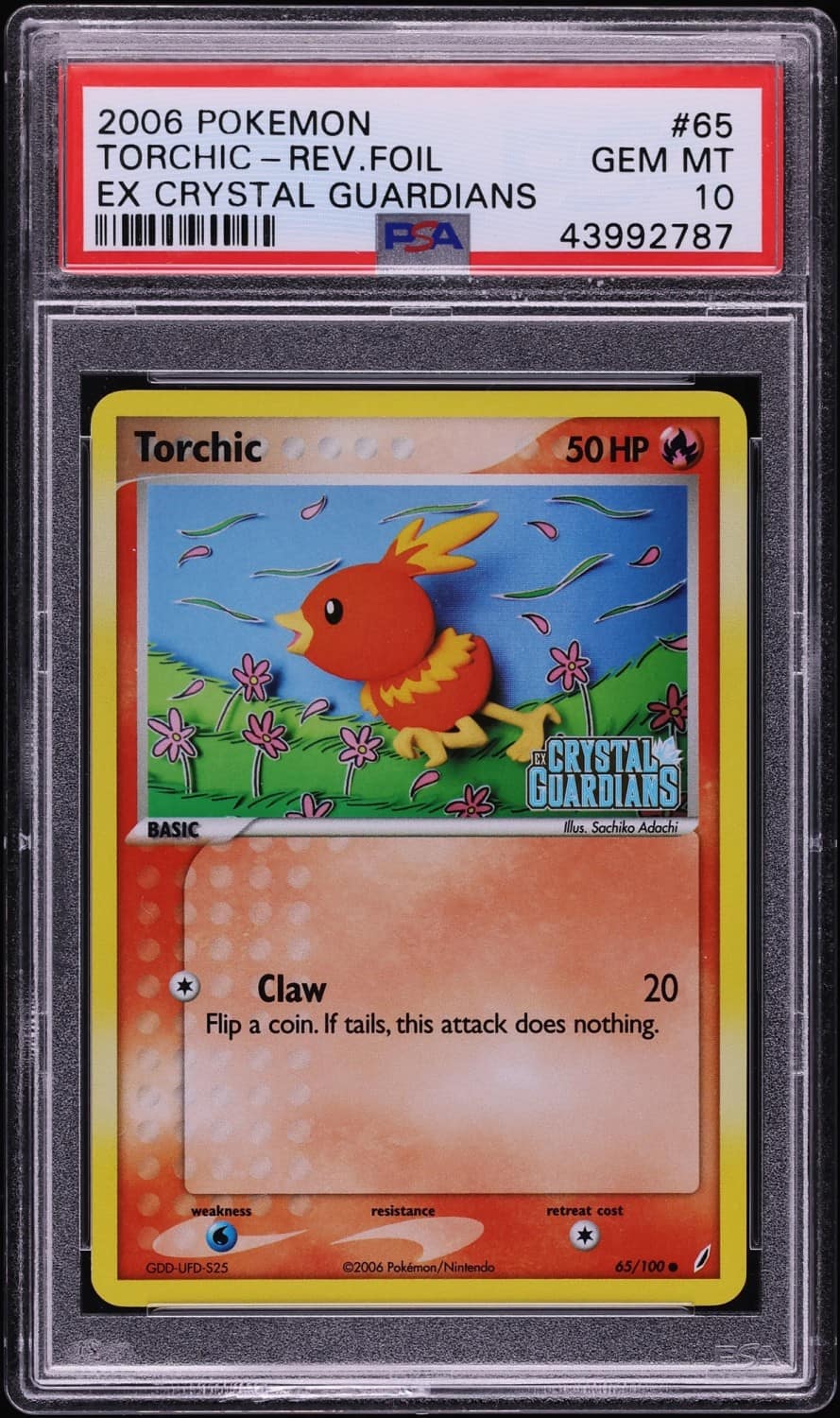 Torchic