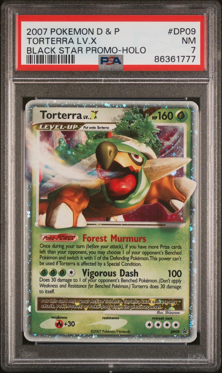 Torterra Lv X