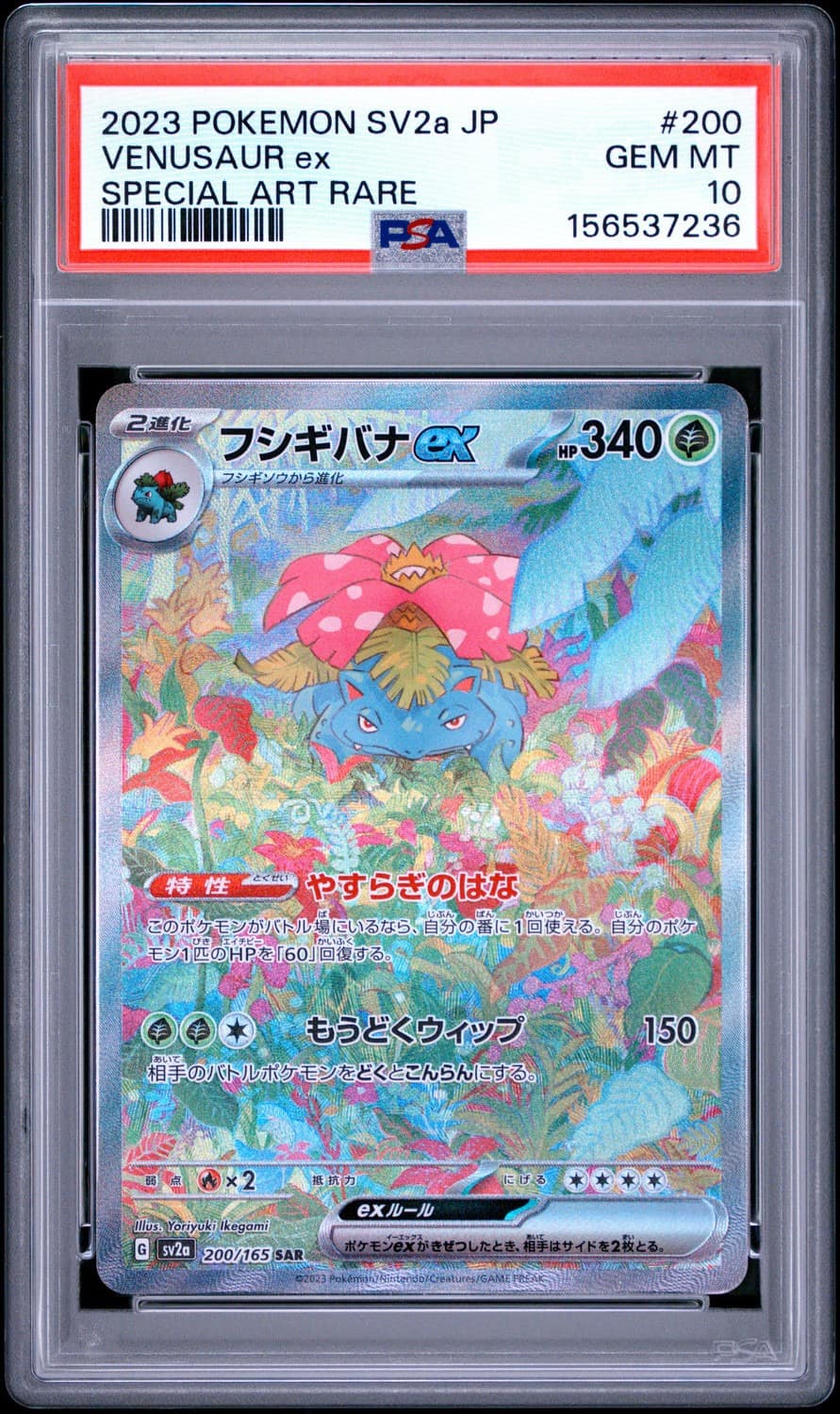 Venusaur Ex