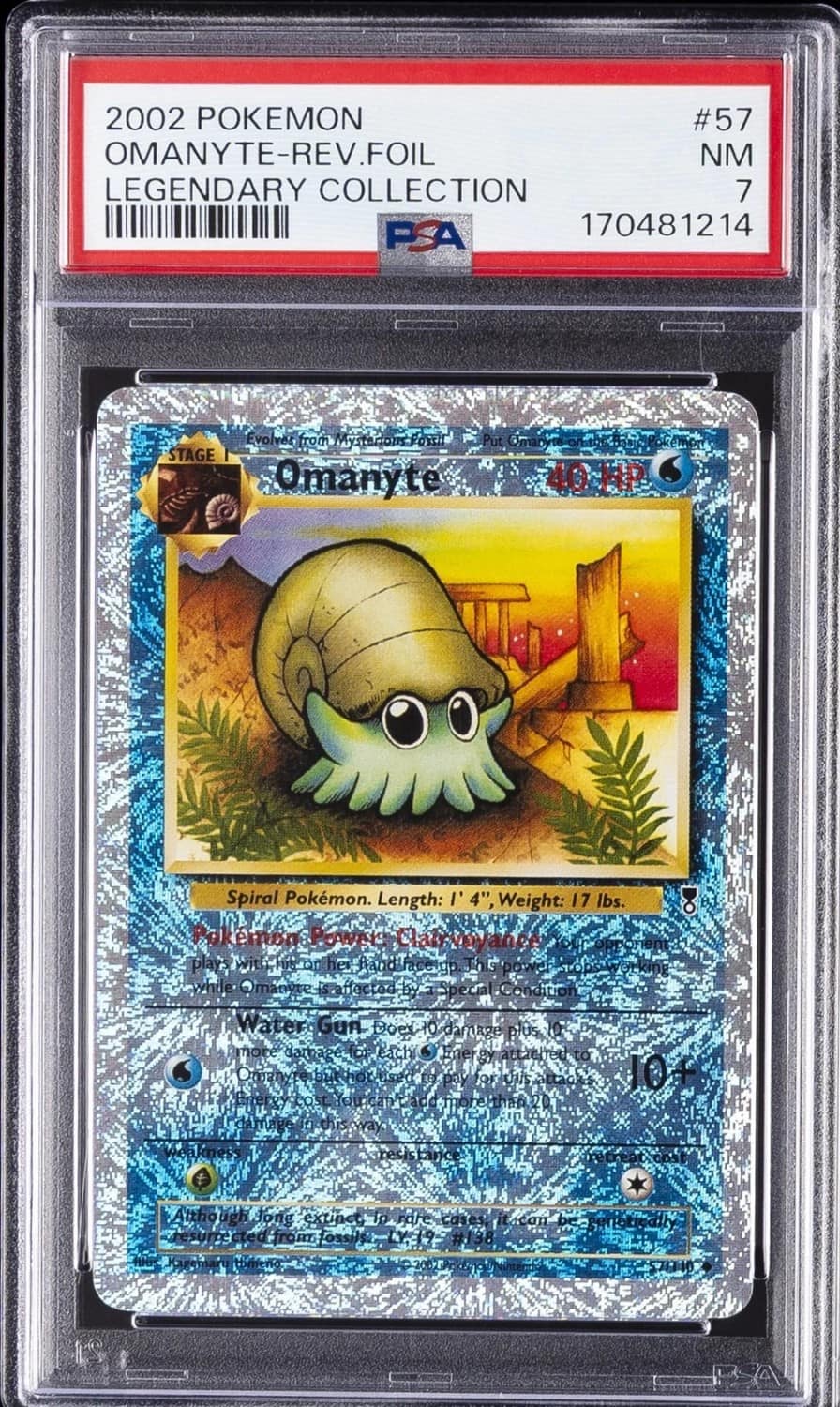 Omanyte