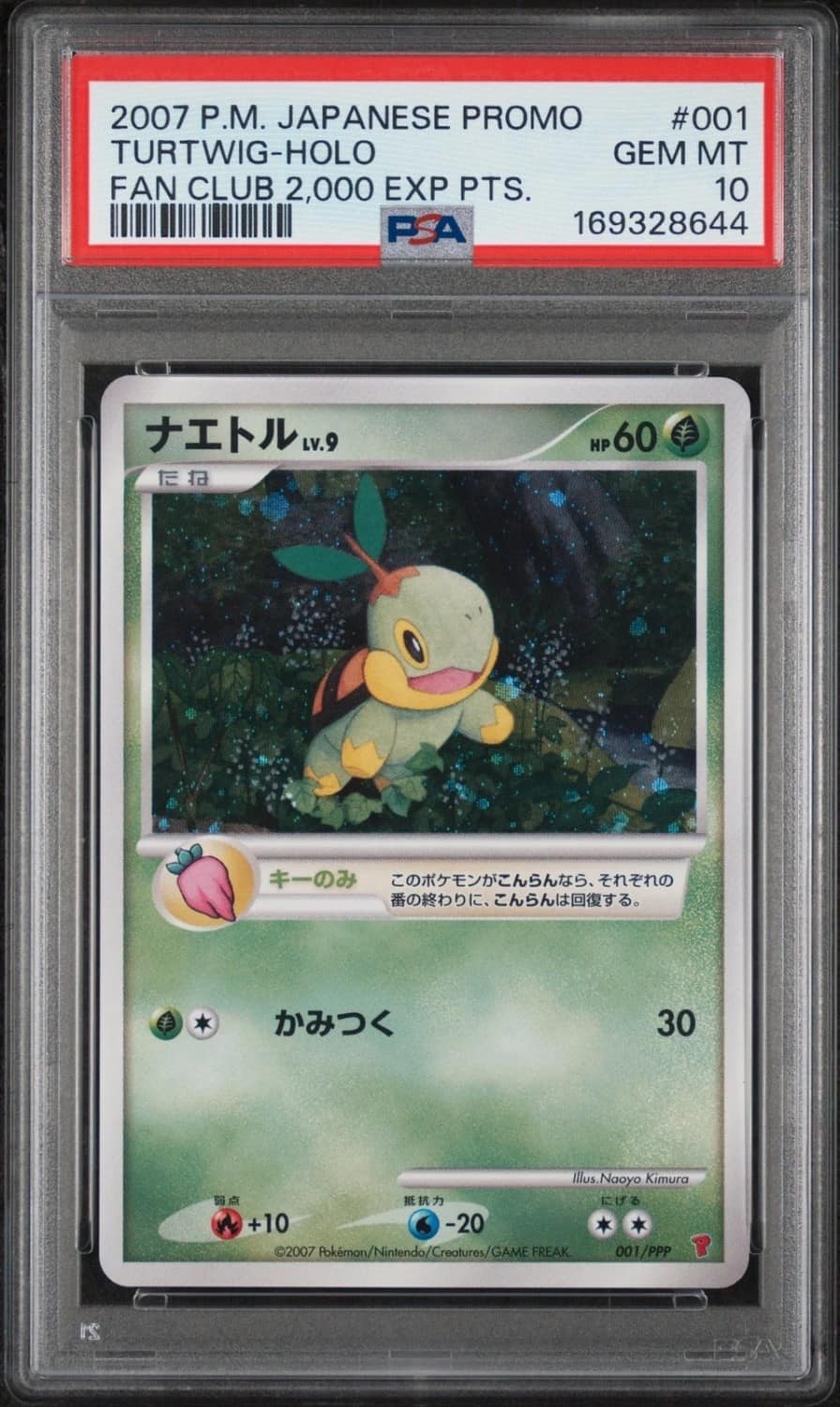 Turtwig