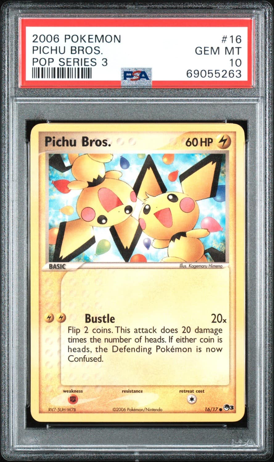 Pichu Bros