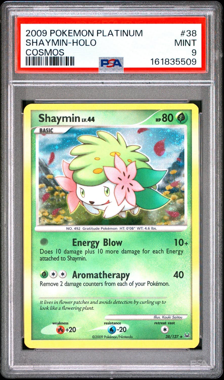 Shaymin