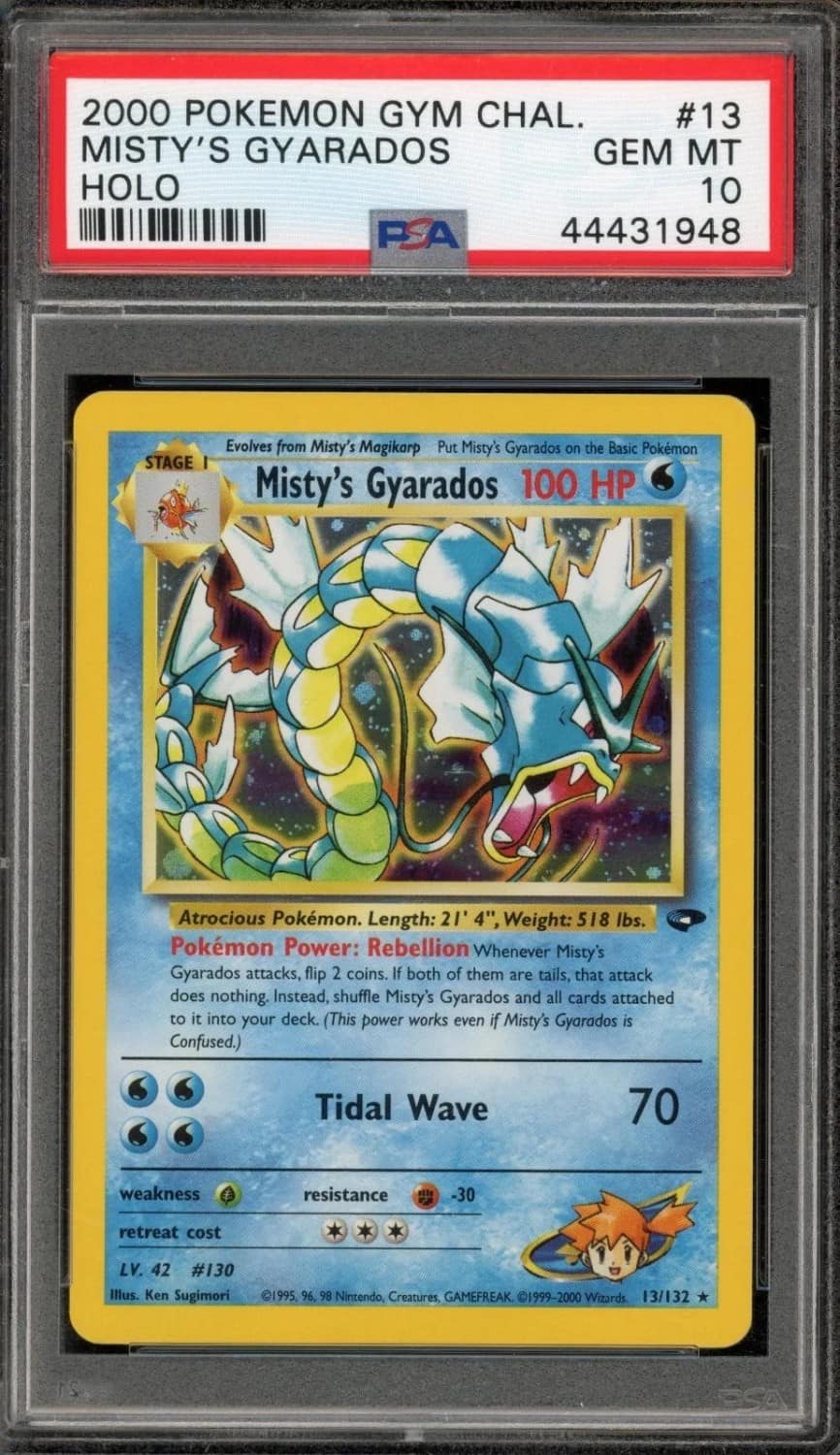 Misty'S Gyarados