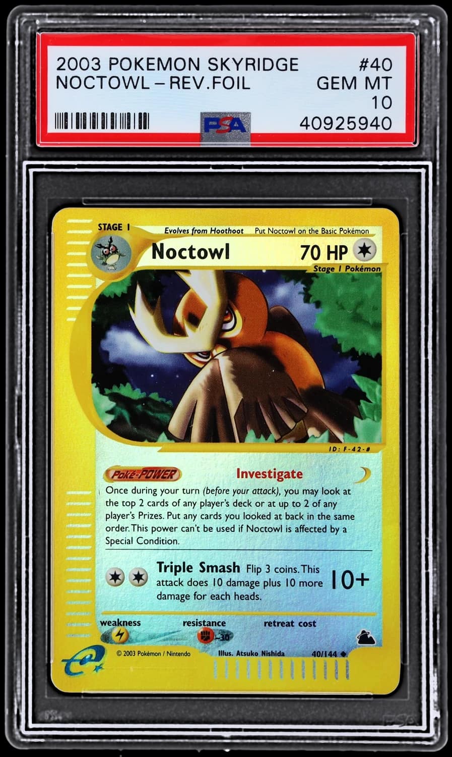 Noctowl