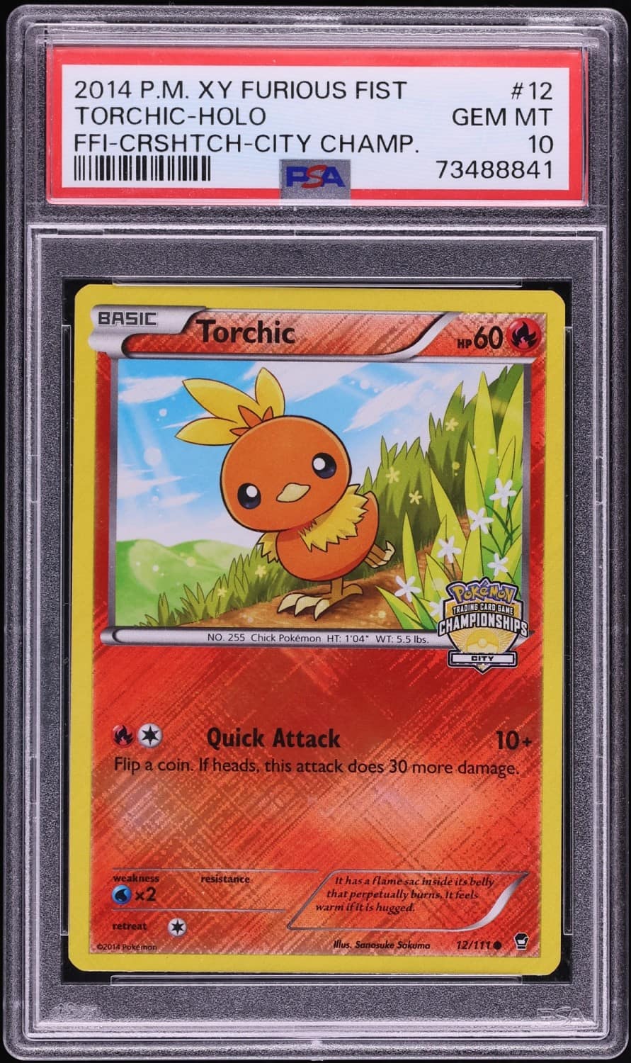 Torchic