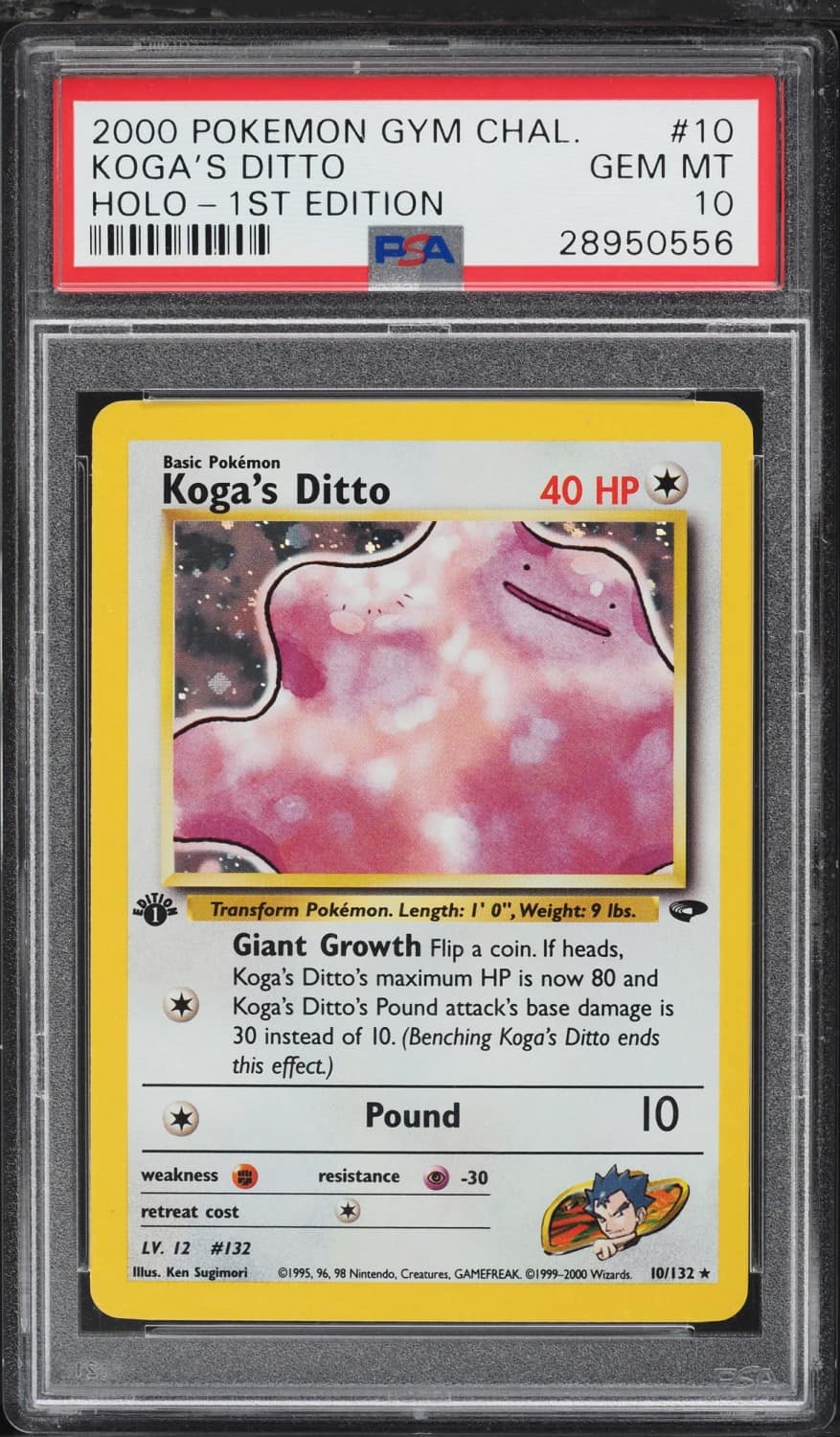 Koga'S Ditto