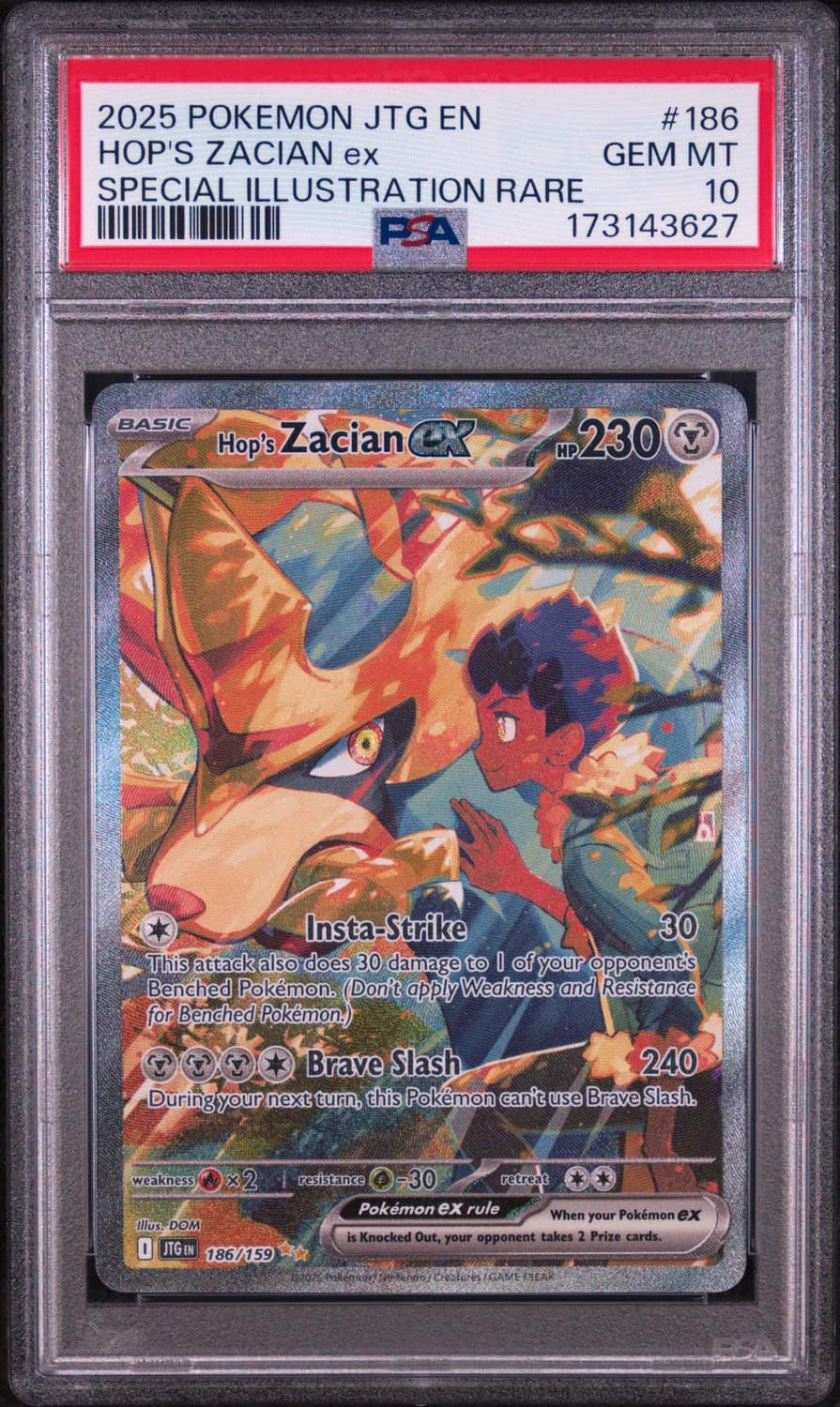 Hop'S Zacian Ex