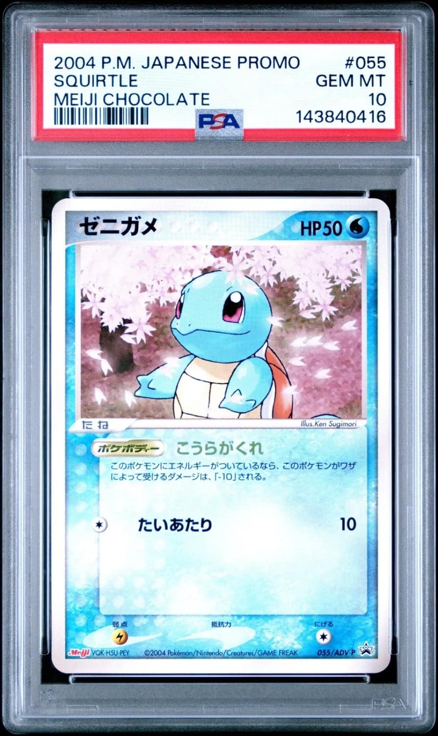 Squirtle