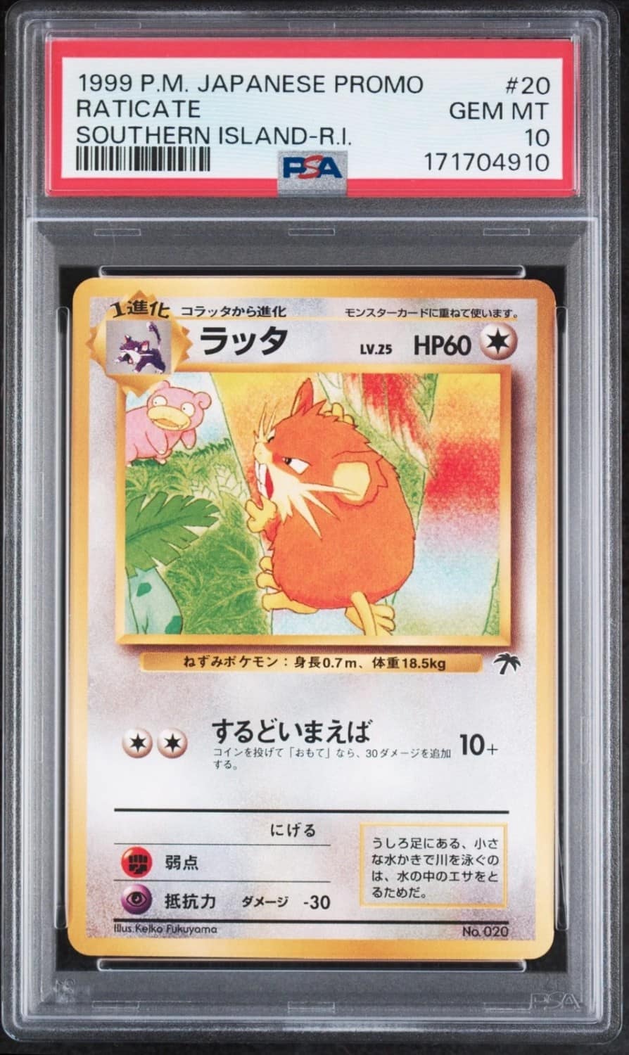 Raticate
