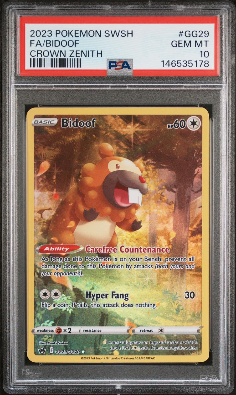 Bidoof
