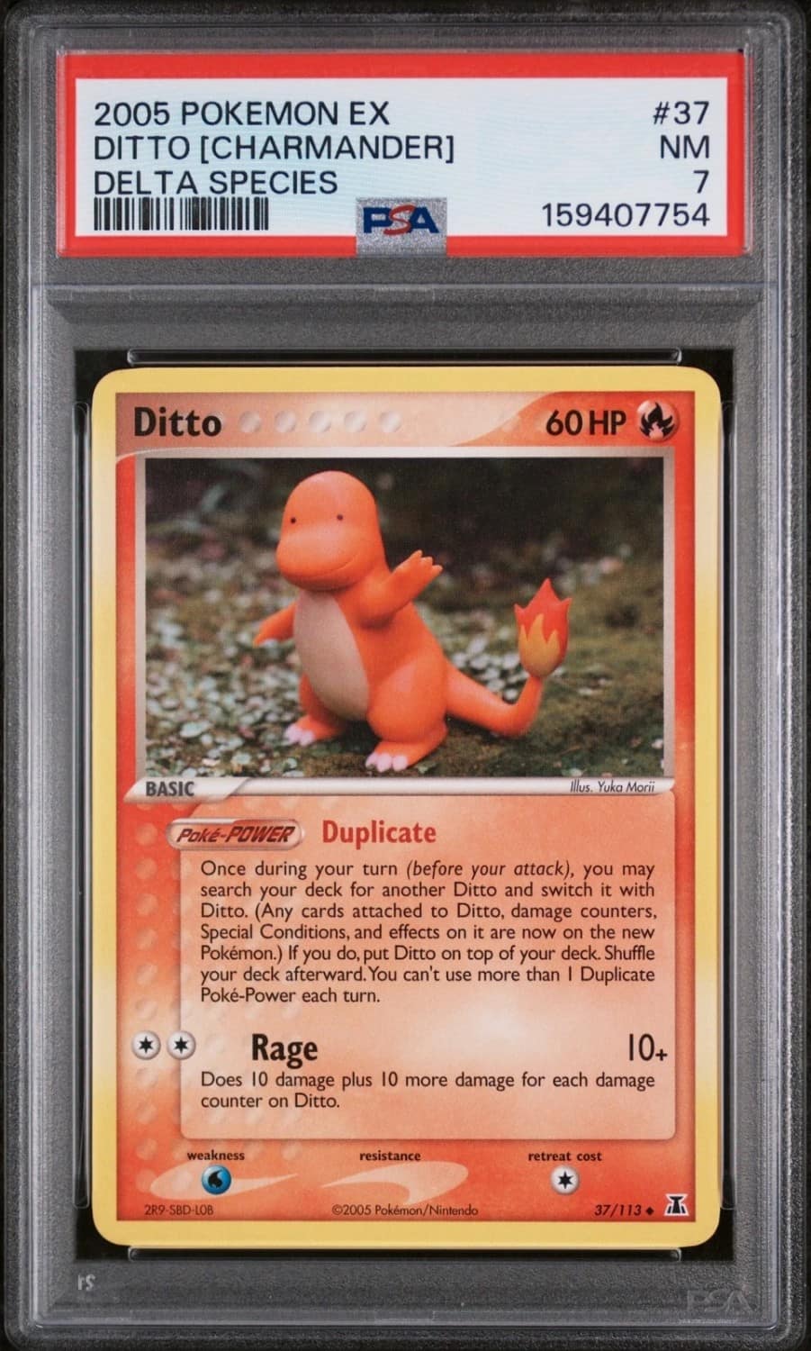 Ditto [charmander]