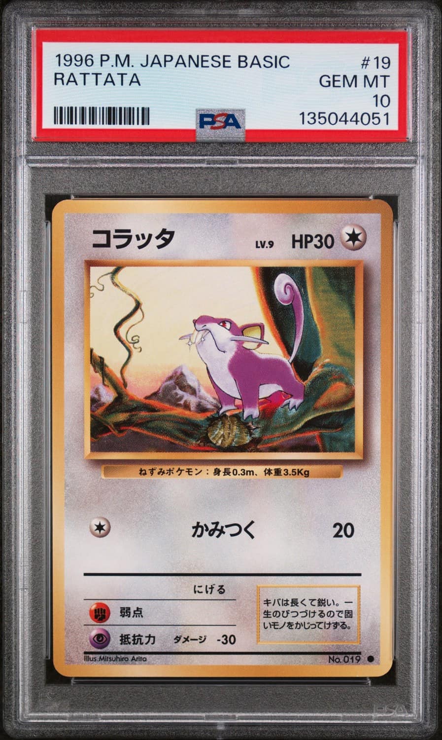 Rattata
