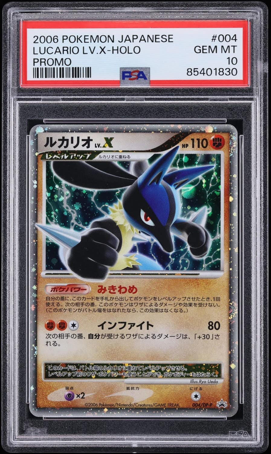 Lucario Lv X