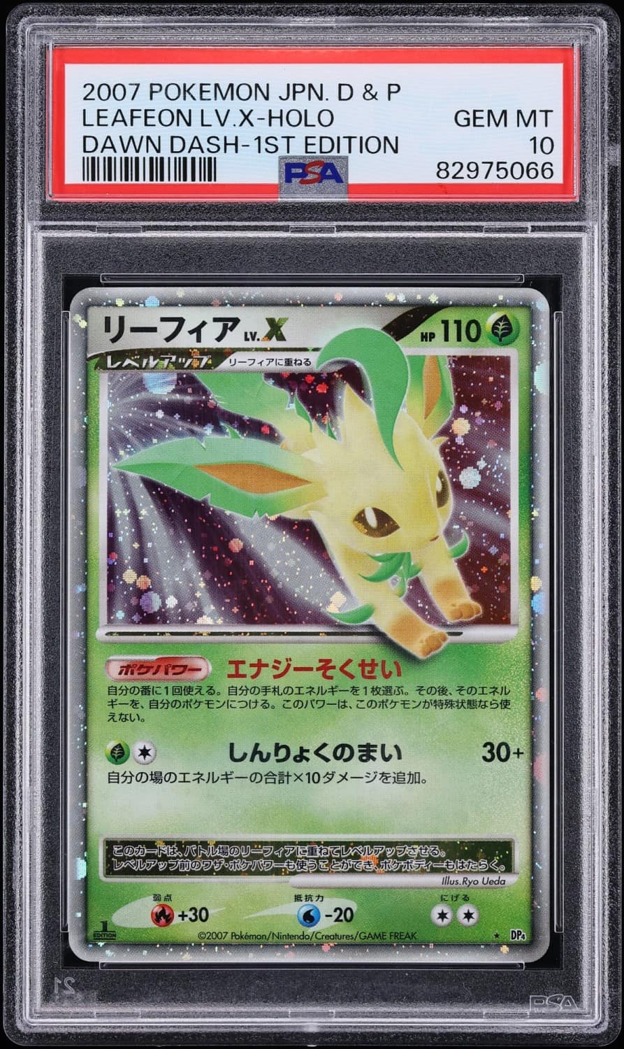 Leafeon Lv X