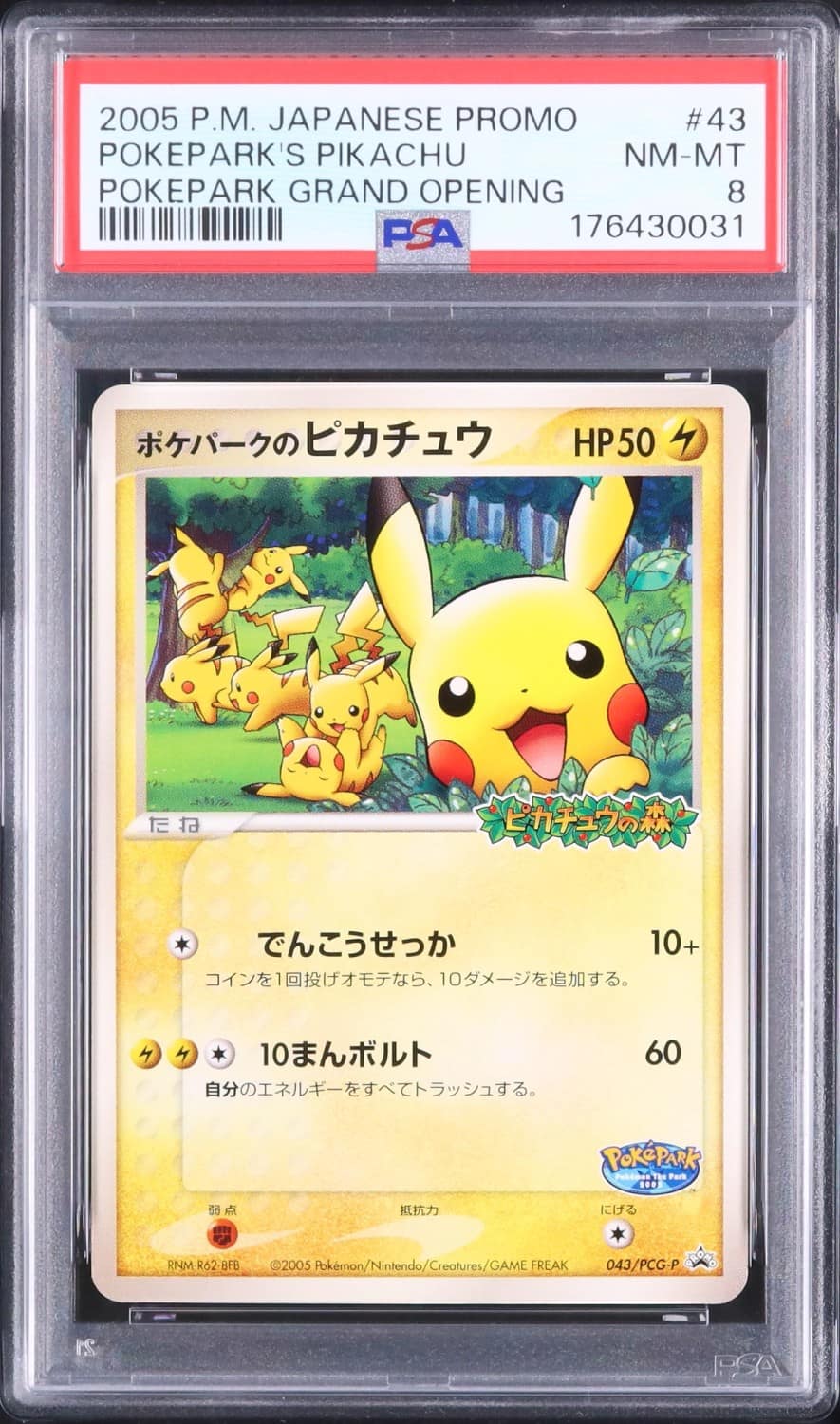 Pokepark'S Pikachu