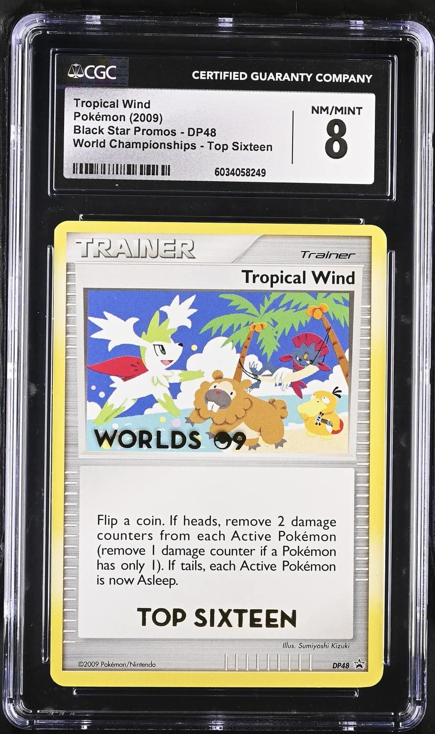 Tropical Wind