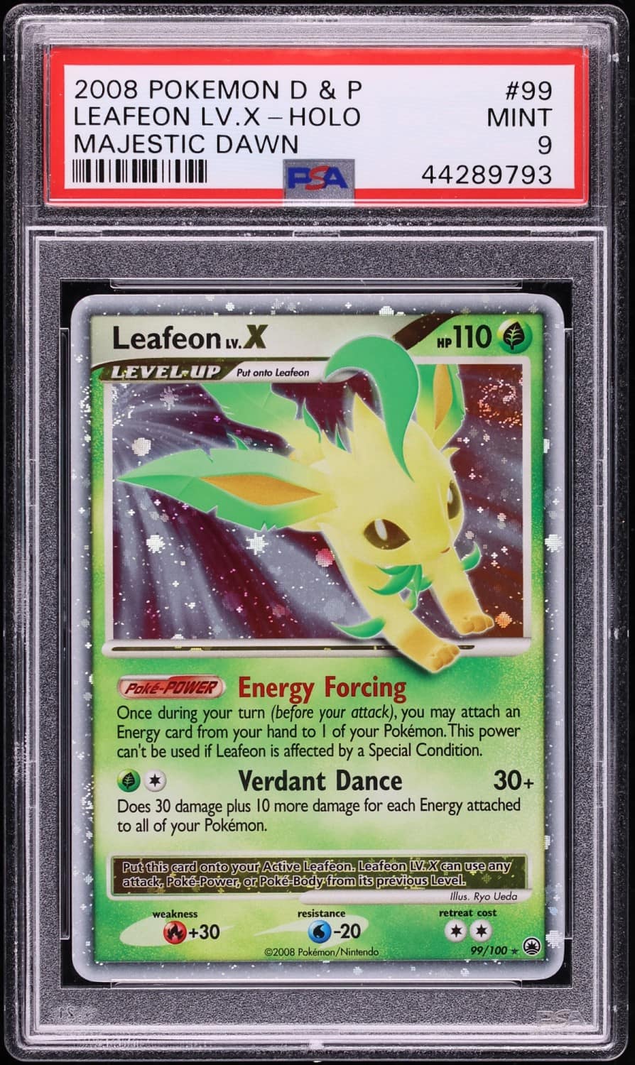 Leafeon Lv X