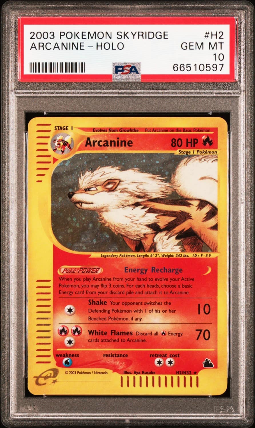 Arcanine