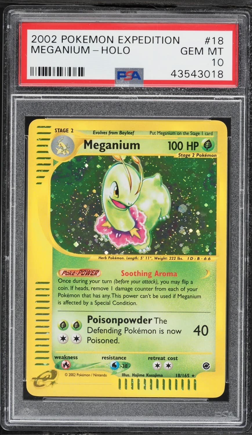 Meganium