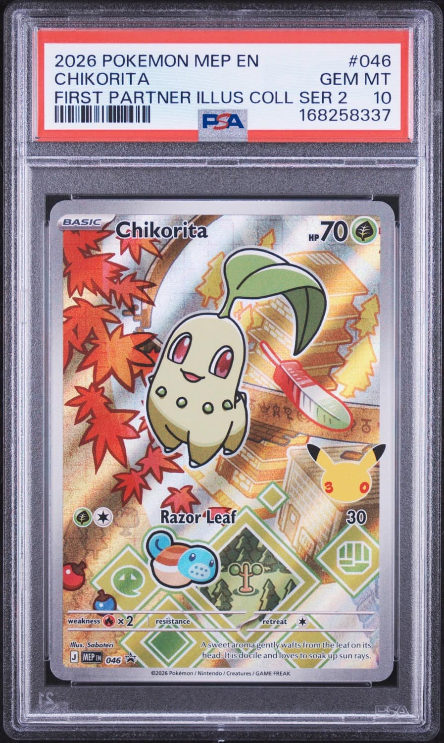 Chikorita
