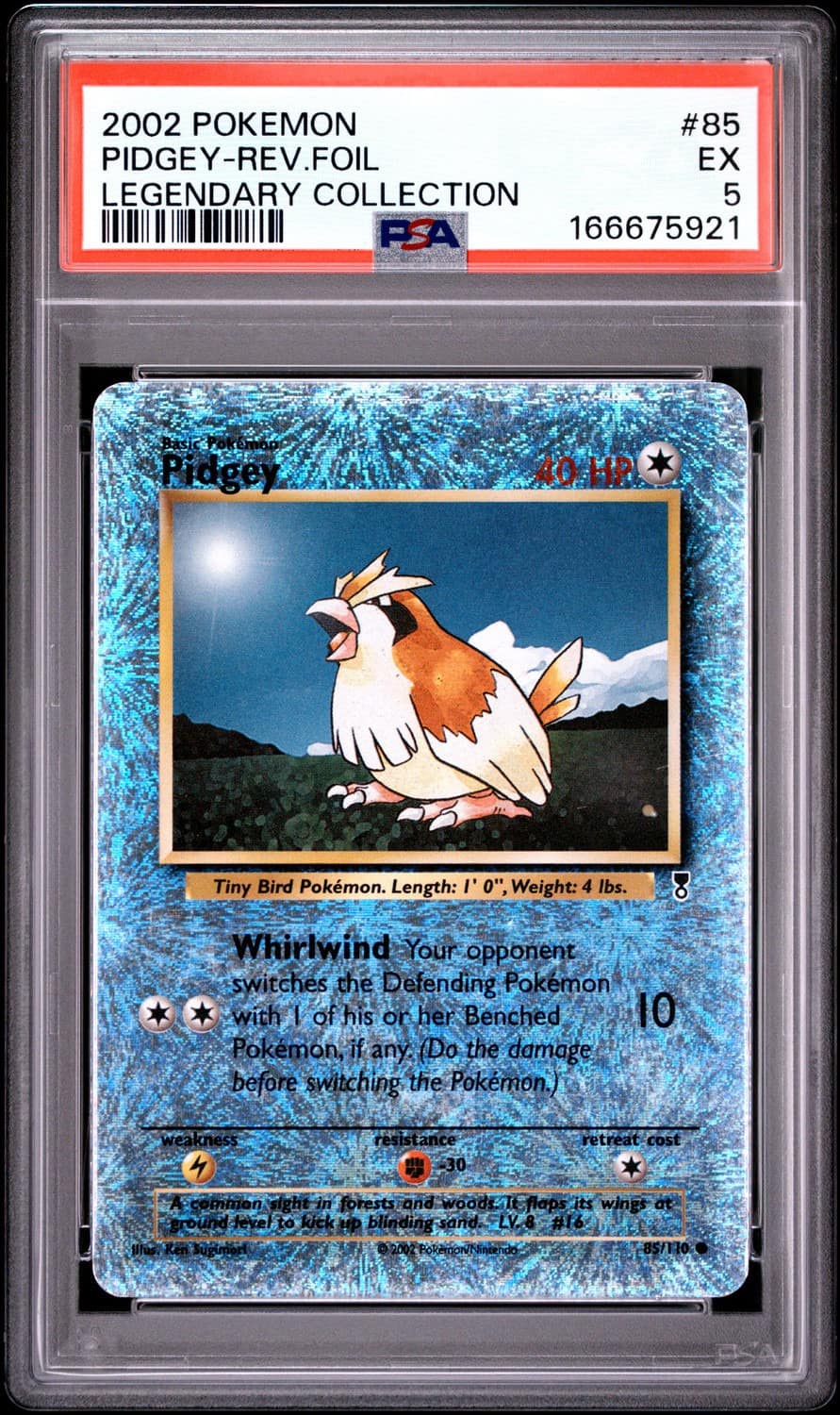 Pidgey
