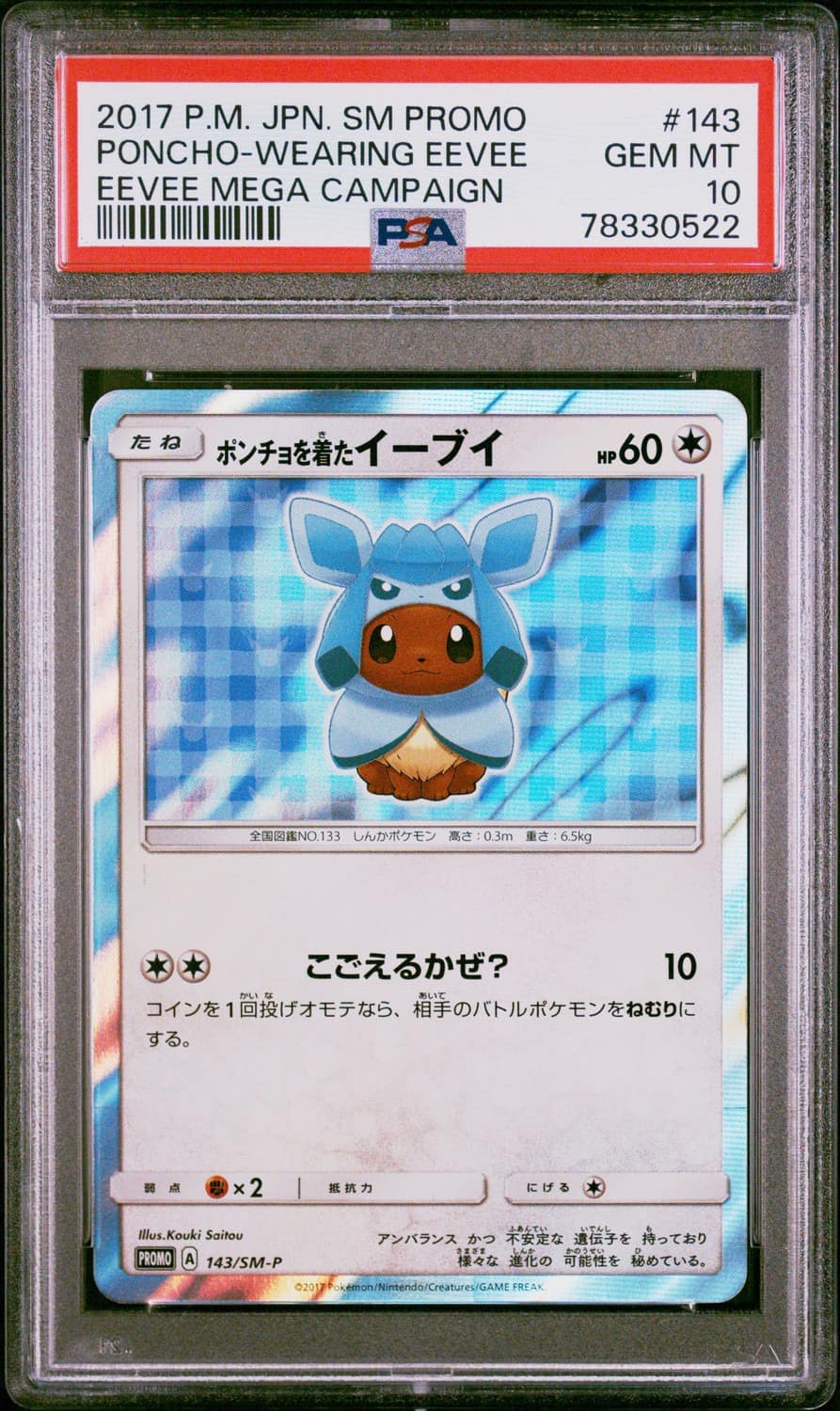 Poncho-Wearing Eevee
