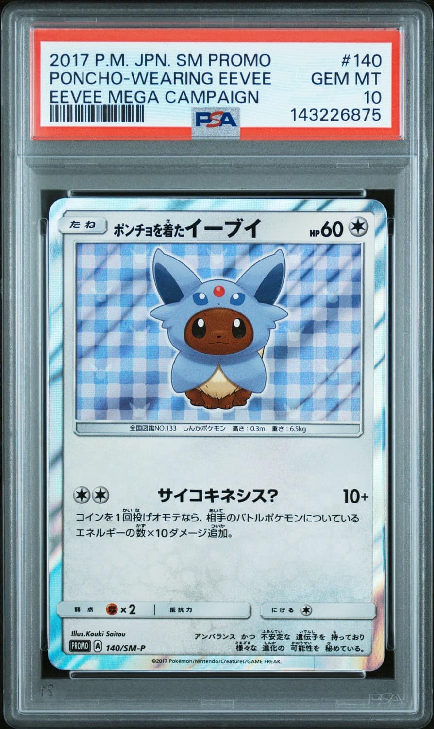 Poncho-Wearing Eevee