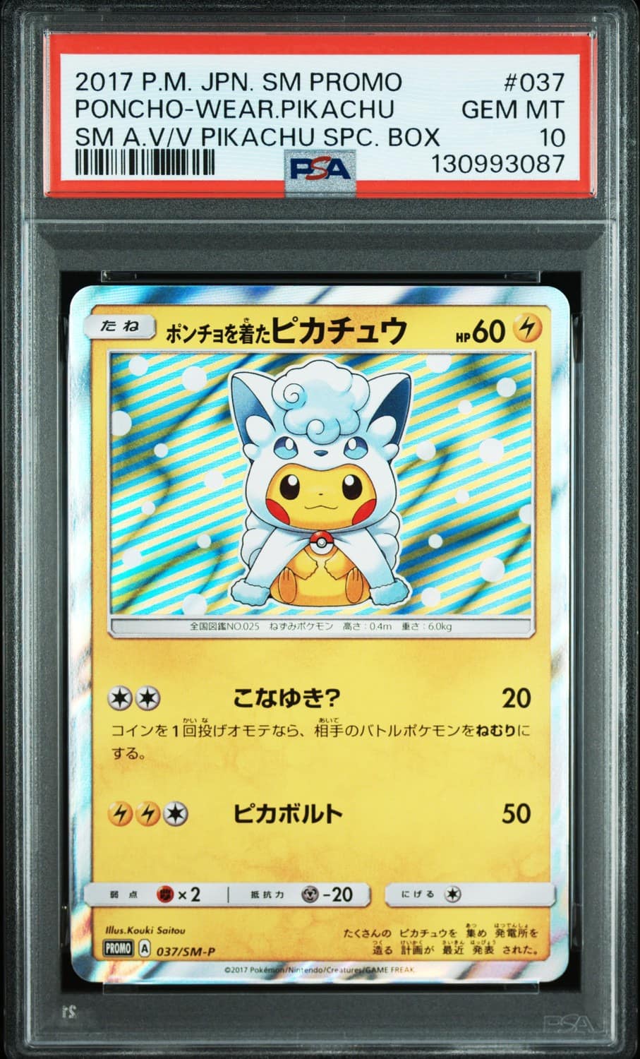 Poncho-Wearing Pikachu
