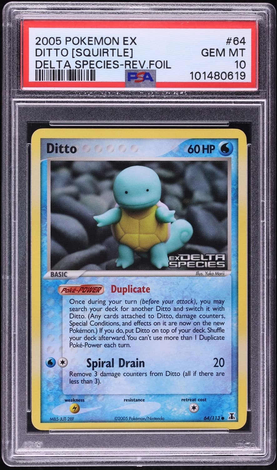 Ditto [squirtle]