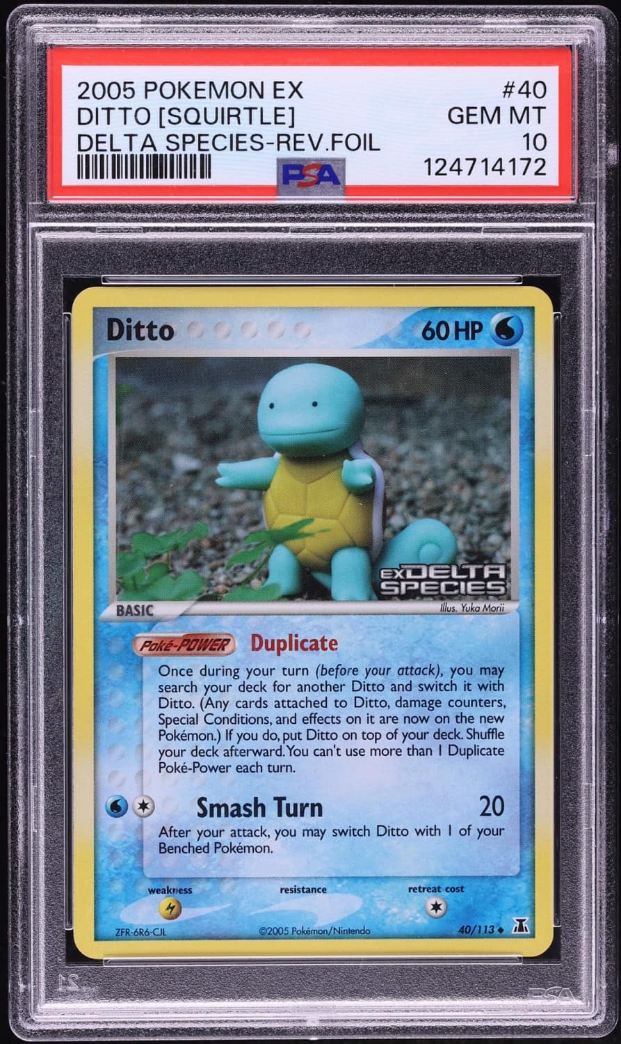 Ditto [squirtle]