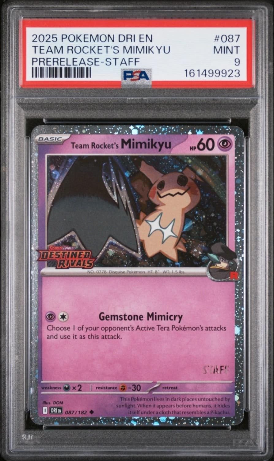 Team Rocket'S Mimikyu