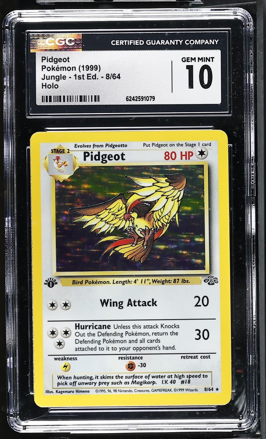 Pidgeot