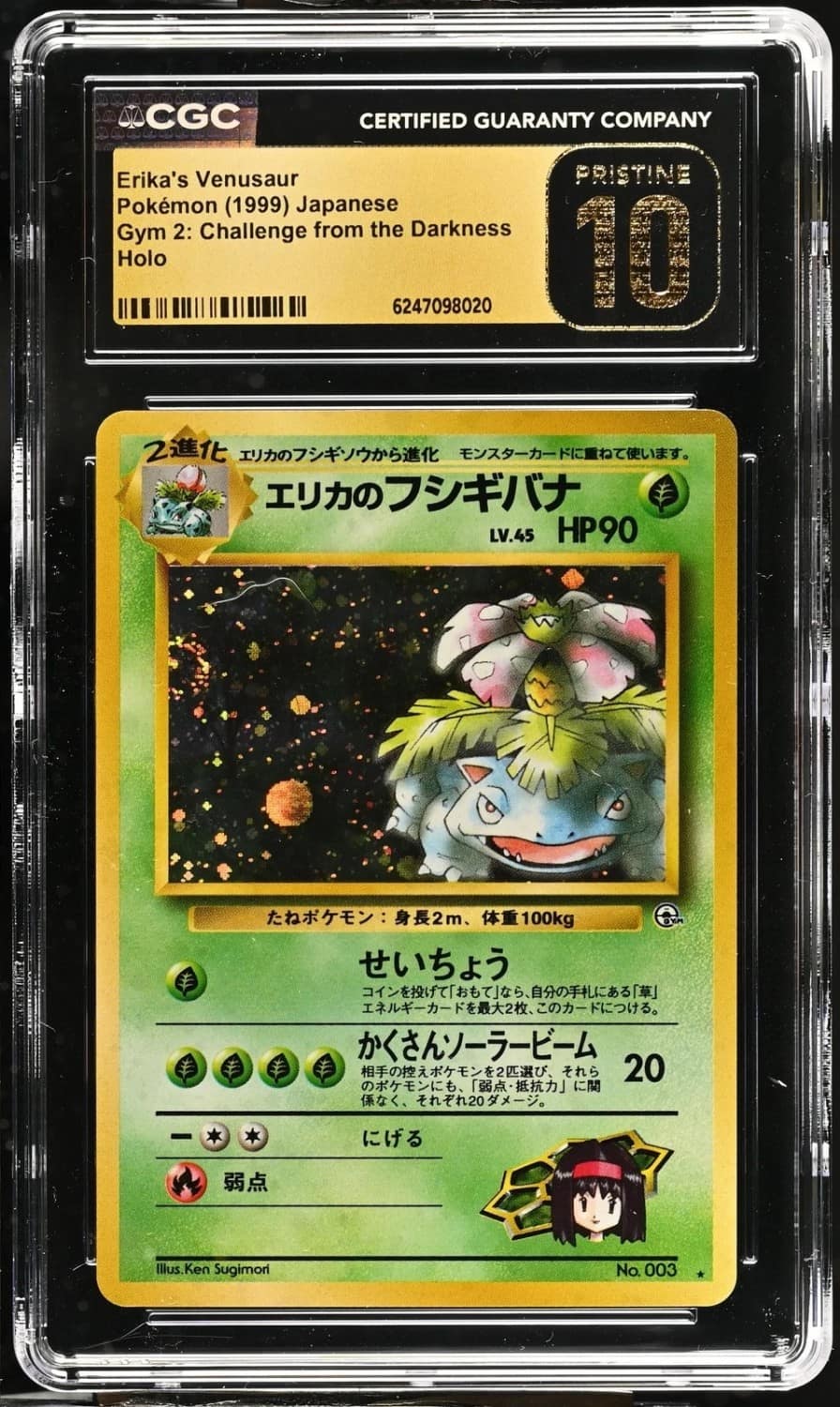 Erika'S Venusaur