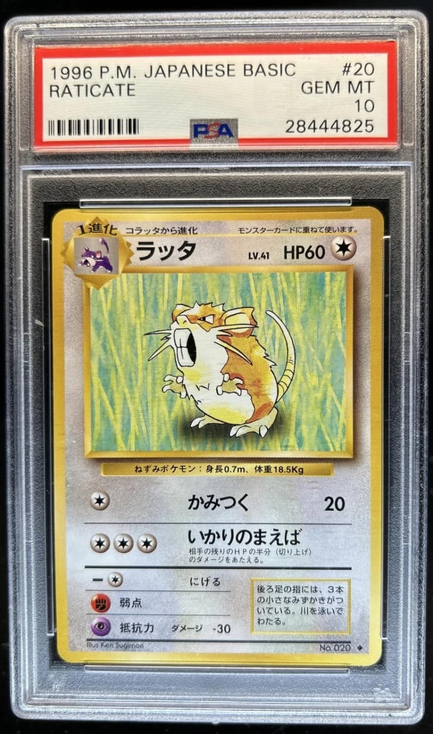Raticate