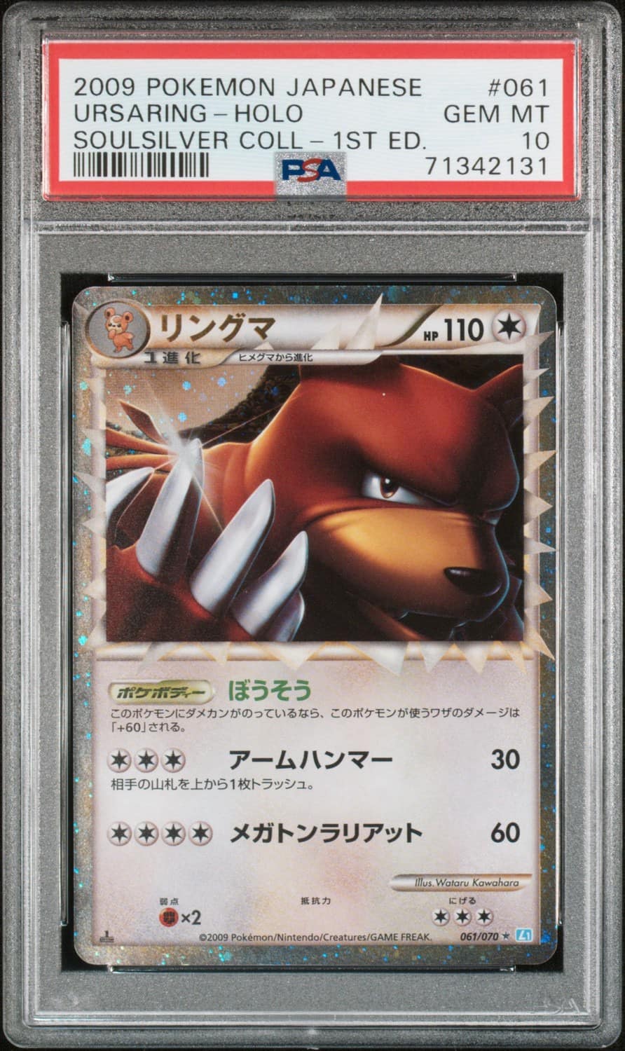 Ursaring