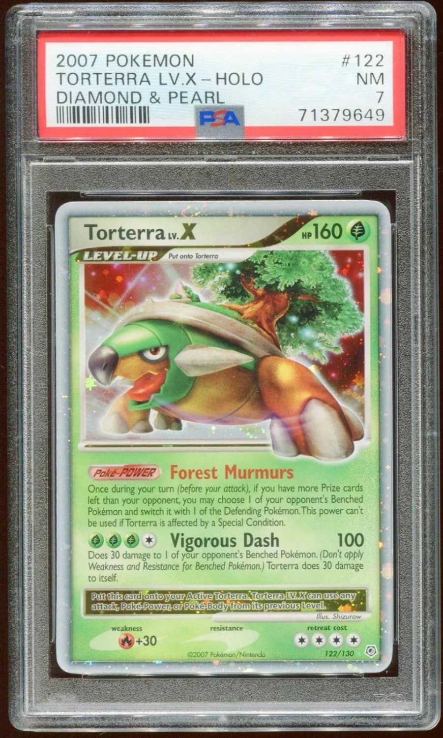 Torterra Lv X