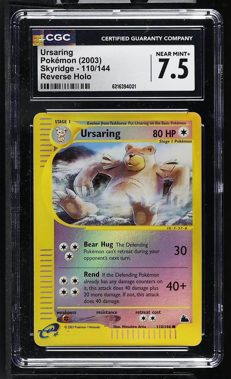 Ursaring