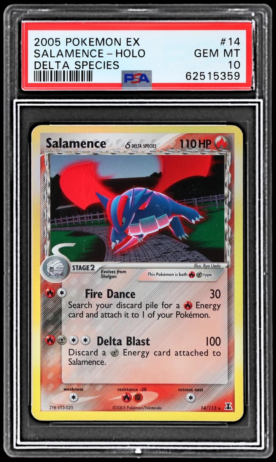 Salamence