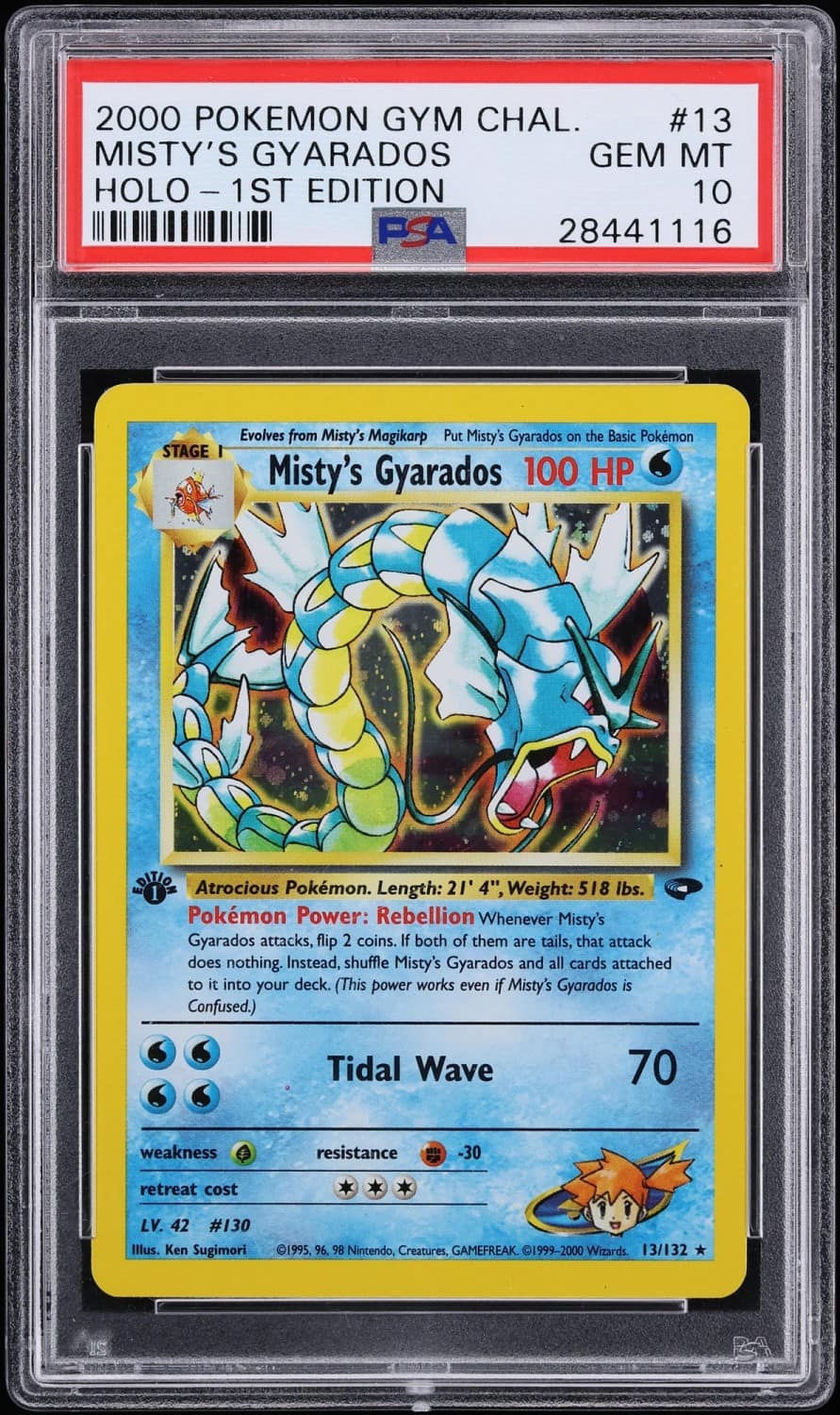 Misty'S Gyarados