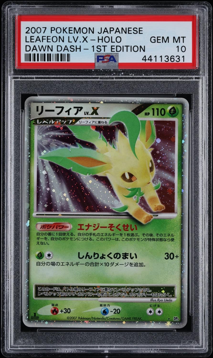 Leafeon Lv X
