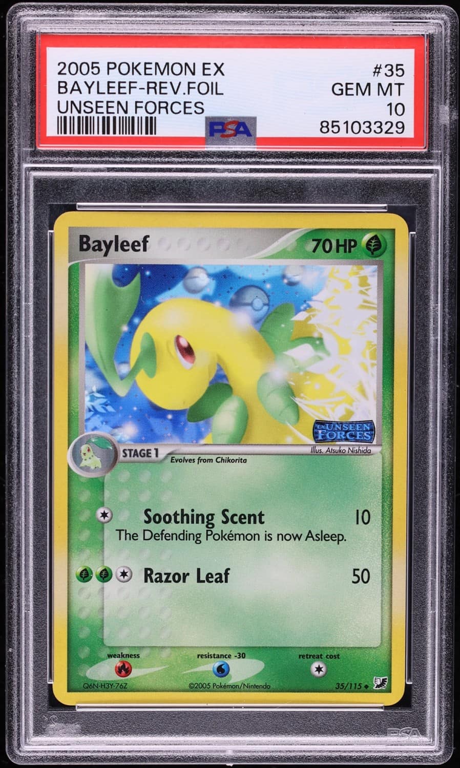 Bayleef
