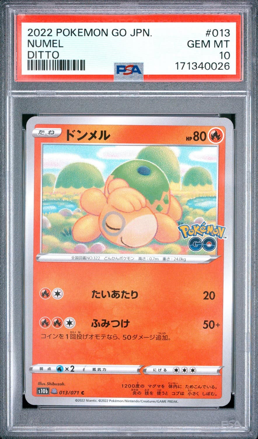 Numel