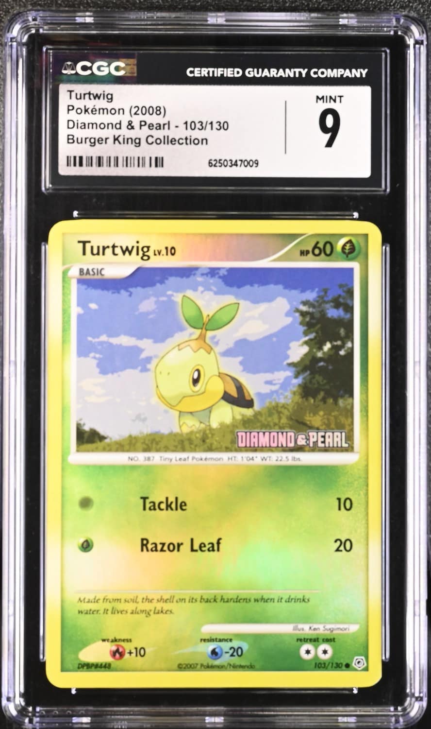Turtwig