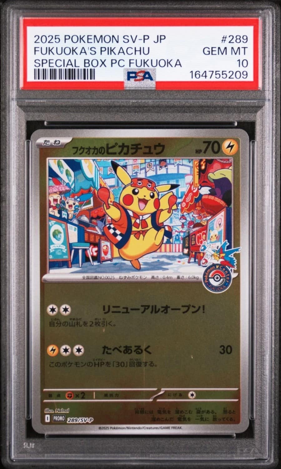 Fukuoka'S Pikachu