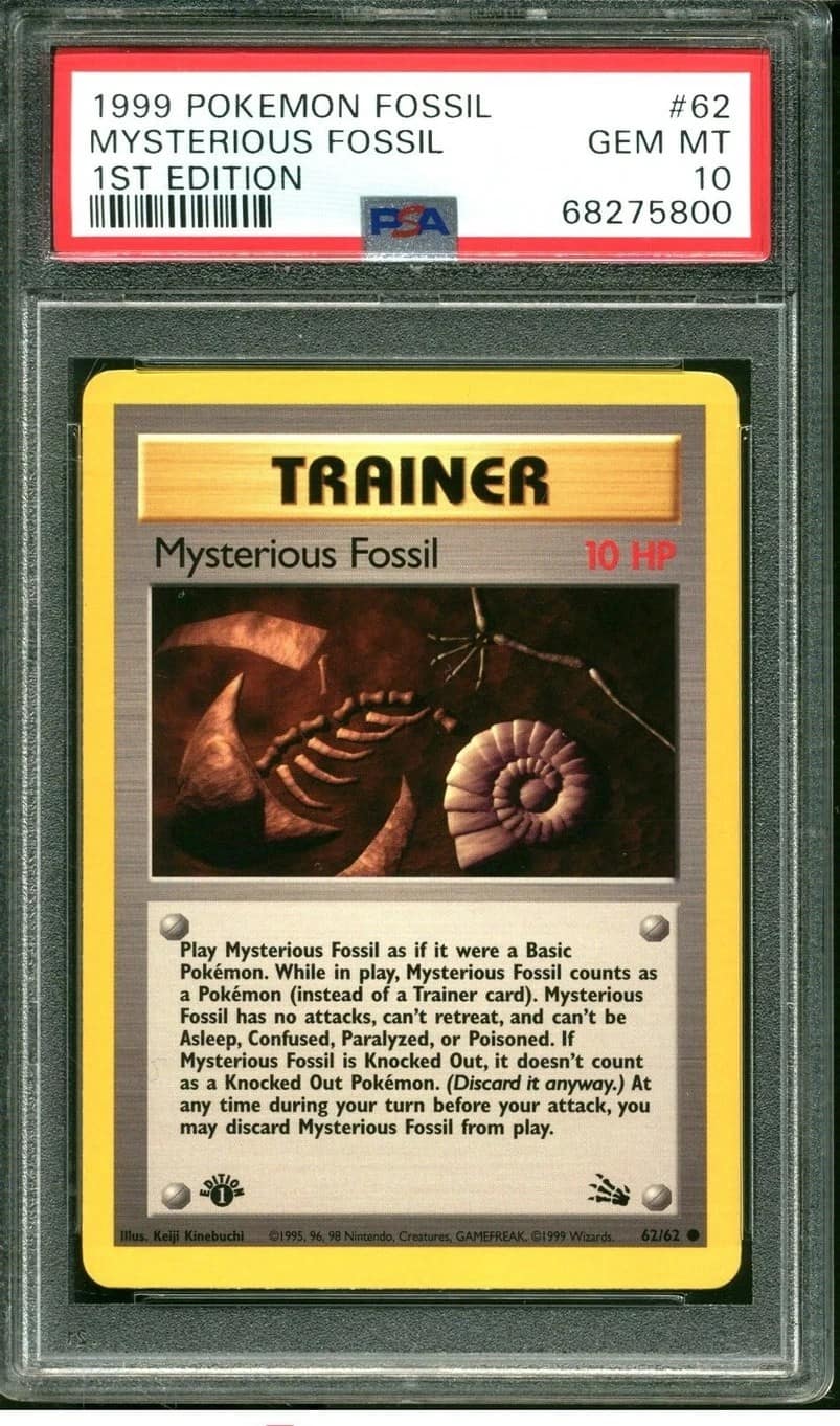 Mysterious Fossil