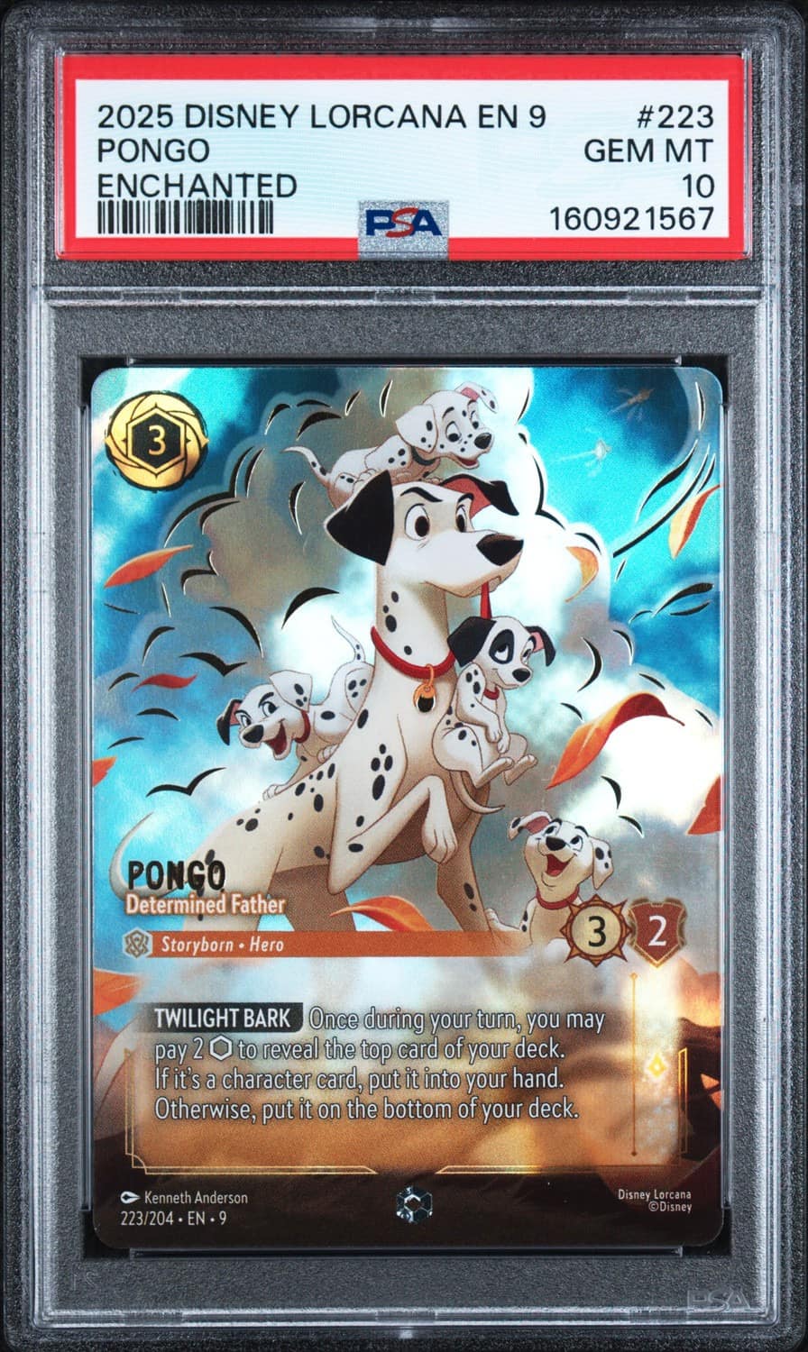 Pongo