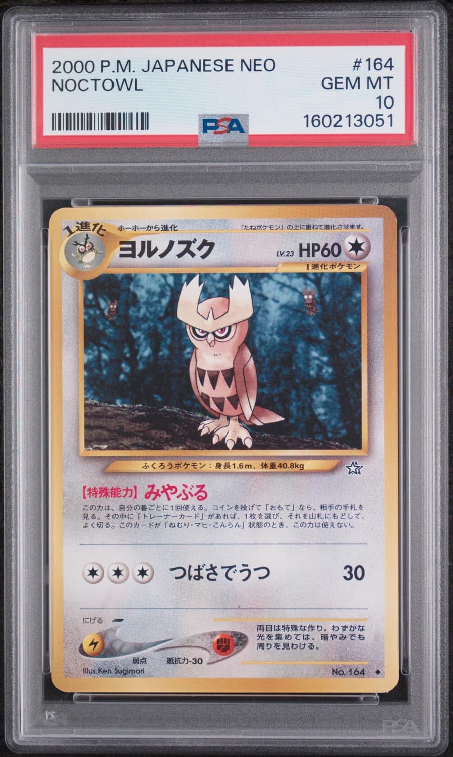 Noctowl